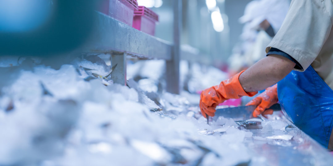 Almacenamiento refrigerado temporal para grandes superficies y retail — SRL Logísticos